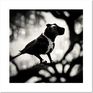 Staffy Sparrow Posters and Art